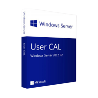 Microsoft Windows [br] Server CAL